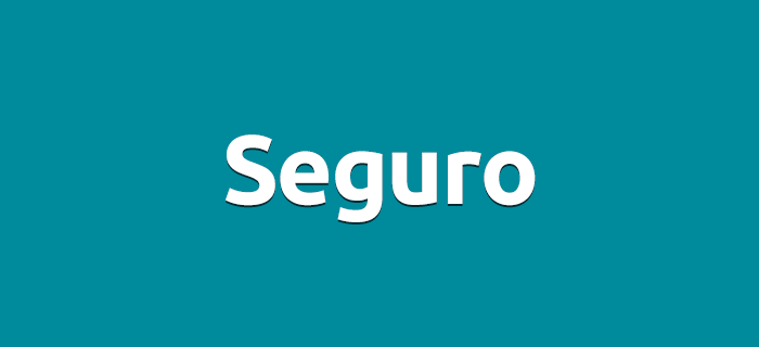 Seguro