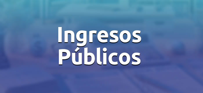 Dirección Provincial de Ingresos Públicos 