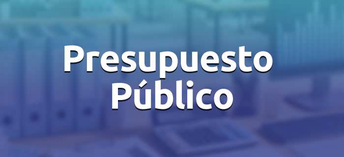 Dirección de Presupuesto Público