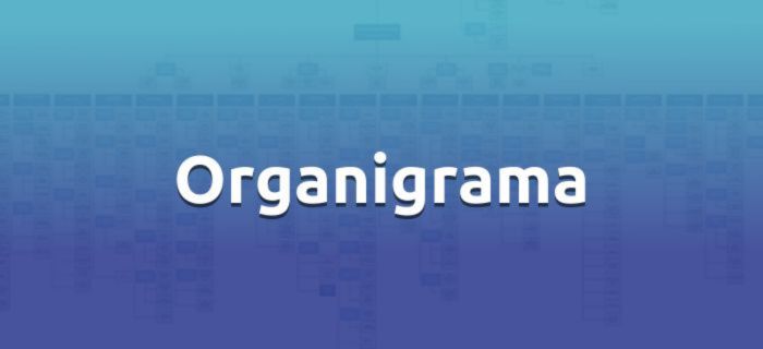 Organigrama