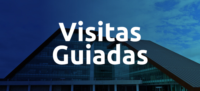 Visitas Guiadas Casa de Gobierno